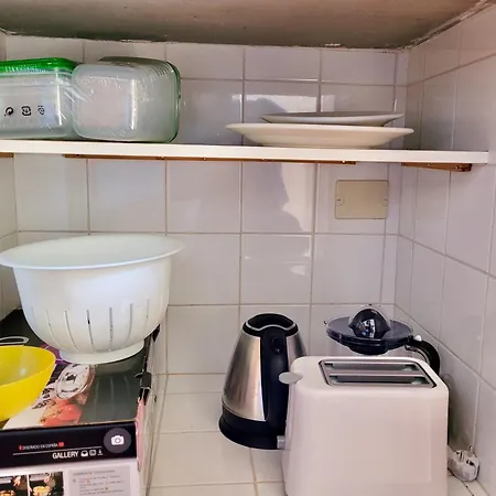 Flores Y Sol タコロンテ